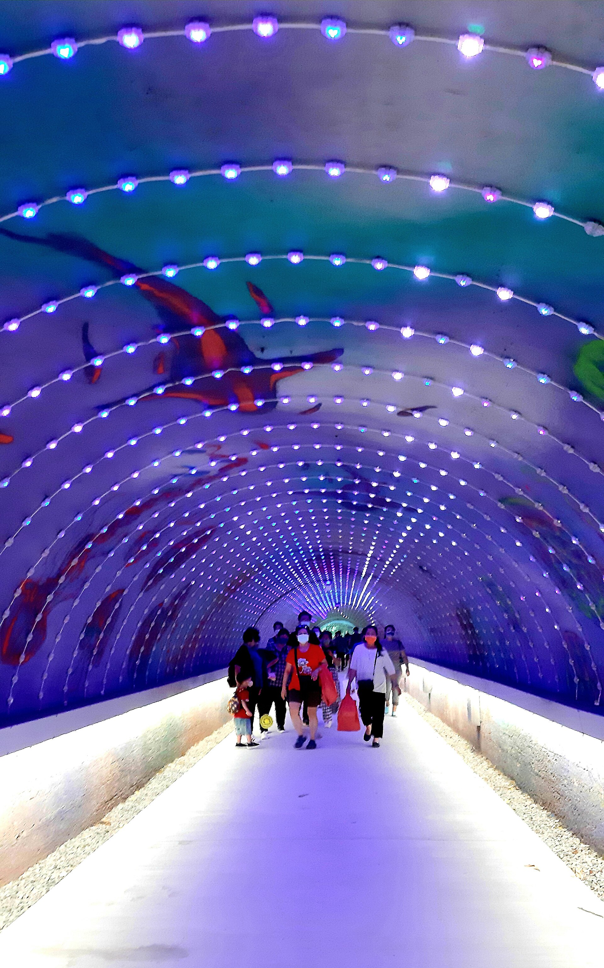 星空隧道內部的藍色星空燈光與步道